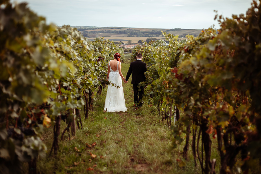 rok 2023 ve fotkách, svatební a rodinný fotograf, svatební focení vinohrad jižní morava čejč vinařství u hroznu