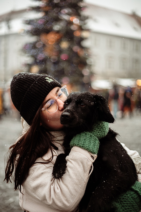 rok 2023 ve fotkách, svatební a rodinný fotograf, vánoční focení brno strom vánoční trhy pes sníh zima 